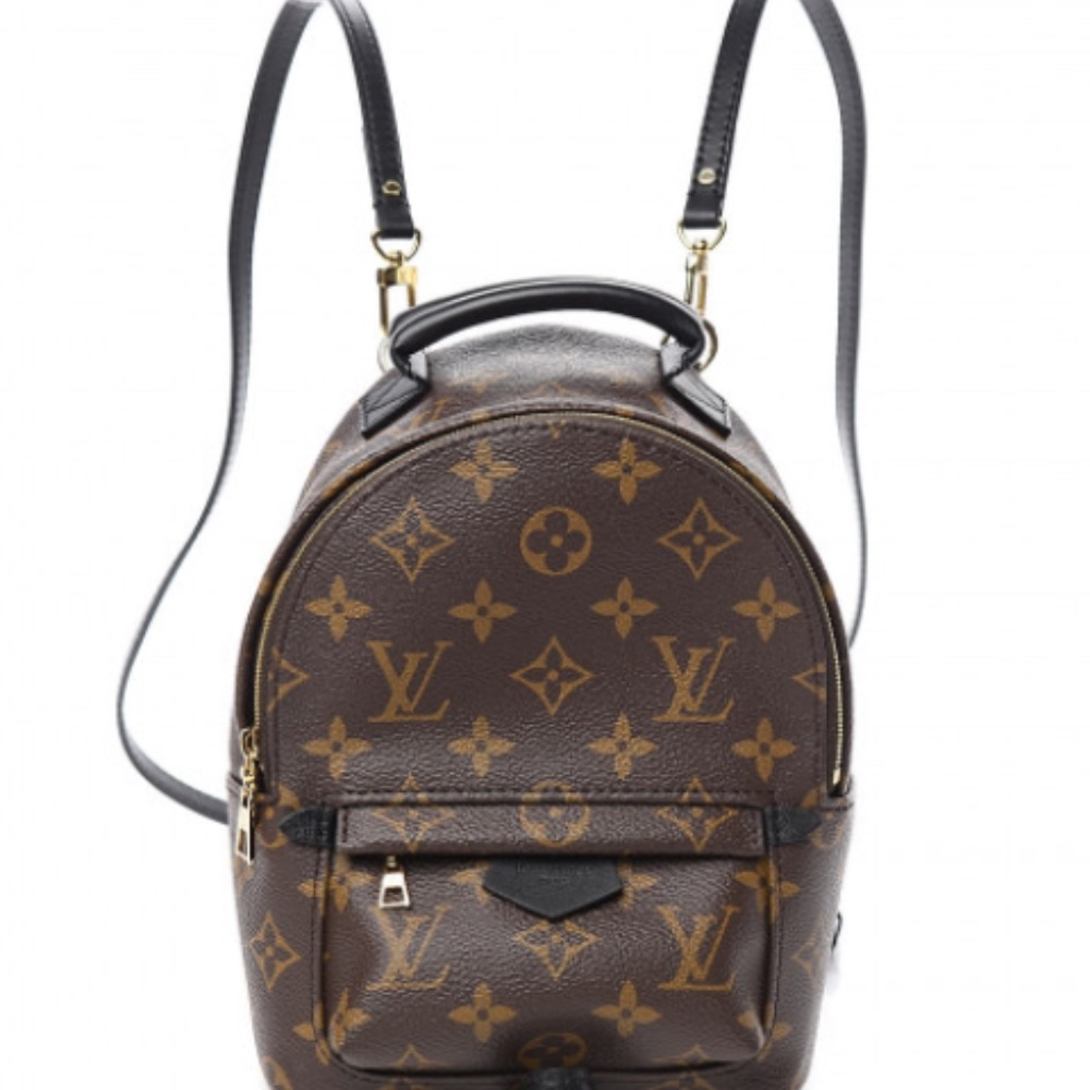 Louis Vuitton Palm Springs 2019 Backpack